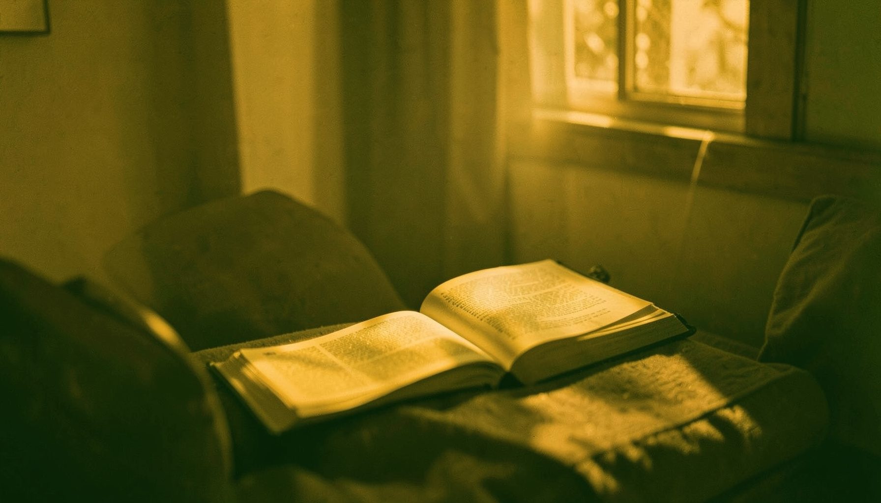 A duotone photograph in mustard gold and forest green, showing a quiet reading nook with soft daylight, open pages, and a warm scholarly atmosphere.